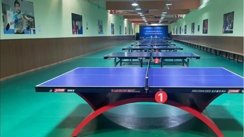 為什么乒乓球館需要專業PVC運動地板——鳳城橡塑PVC地板